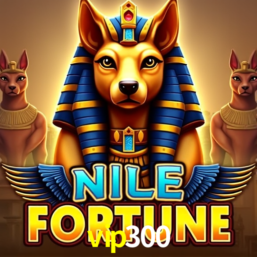  vip300.com
